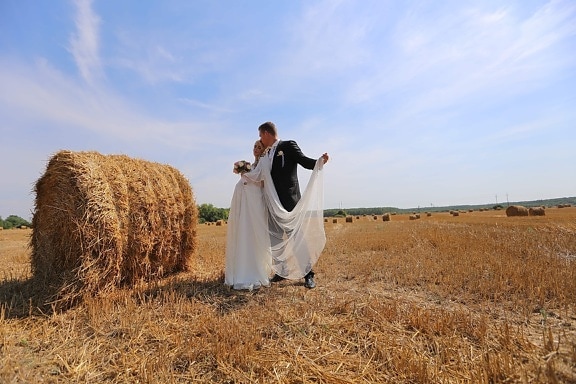 domaine, jeune marié, la mariée, agricole, orge, mariage, gentilhomme, robe de mariée, danse, Hay