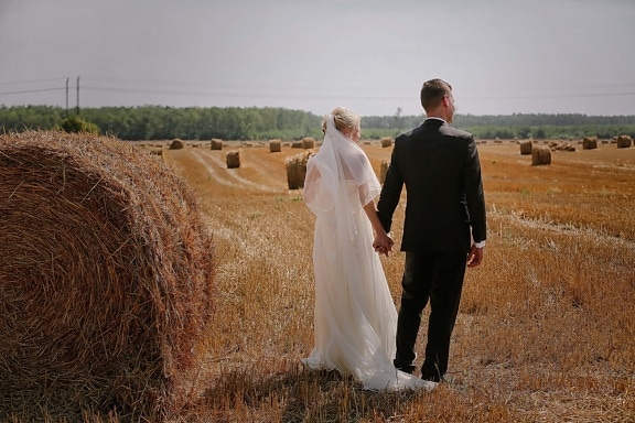 domaine, agricole, Champ de foin, jeune marié, la mariée, botte de foin, Hay, rural, été, paysage