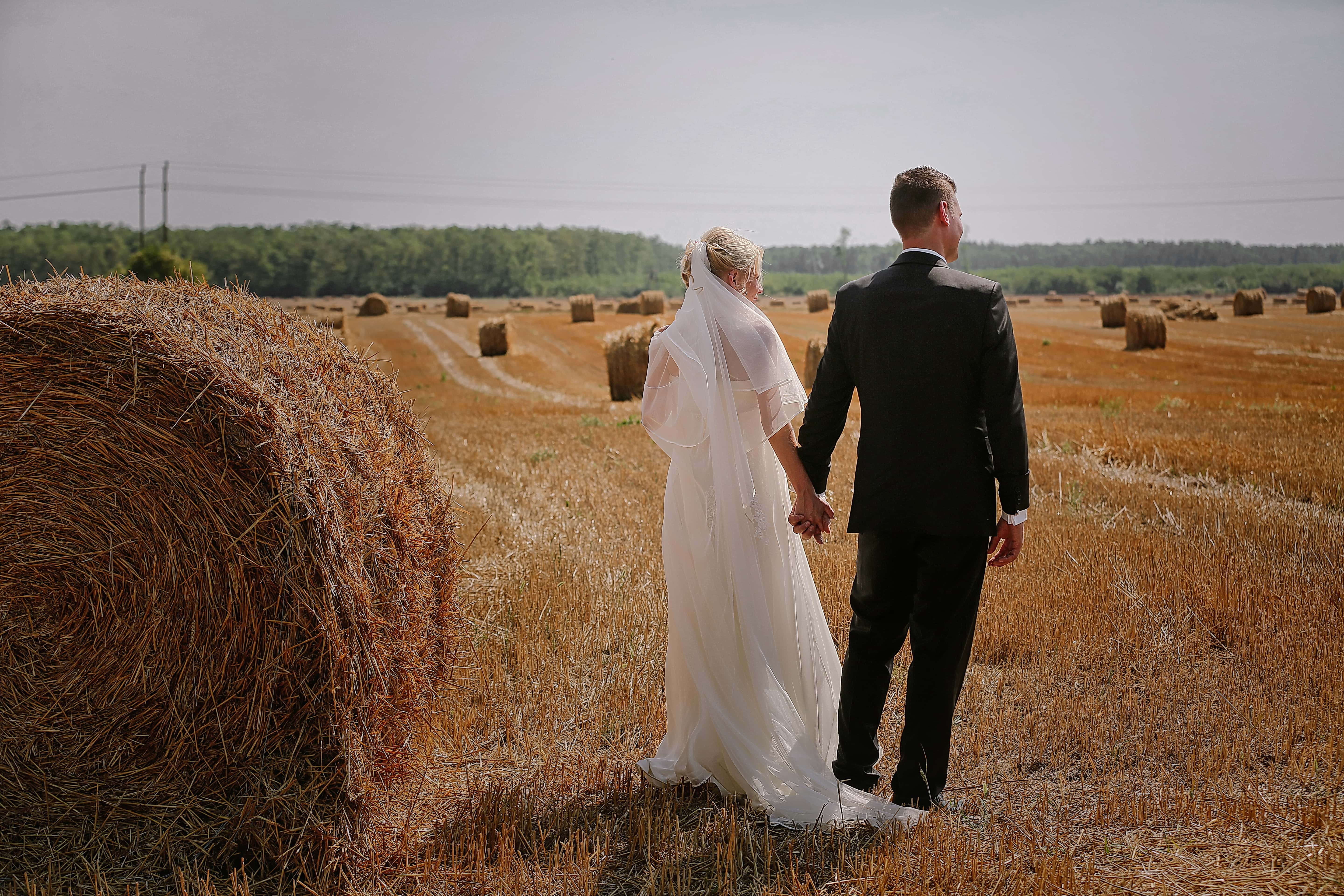 mezőgazdasági menyasszonyok)