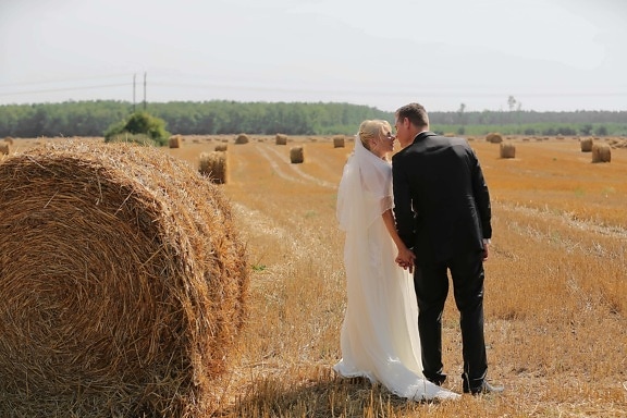 champ de blé, Champ de foin, orge, baiser, jeune marié, la mariée, Agriculture, blé, Hay, ferme