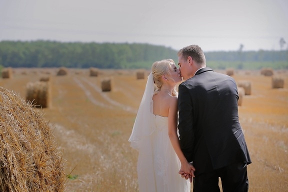menyasszony, seprű, Wheatfield, széna mező, mezőgazdaság, nyári, esküvő, szerelem, nő, vőlegény