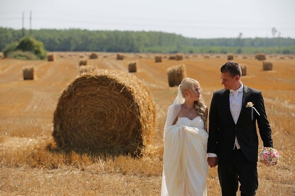 jeune marié, la mariée, champ de blé, Champ de foin, bouquet de mariage, étreinte, robe de mariée, Agriculture, aliments pour animaux, alimentaire