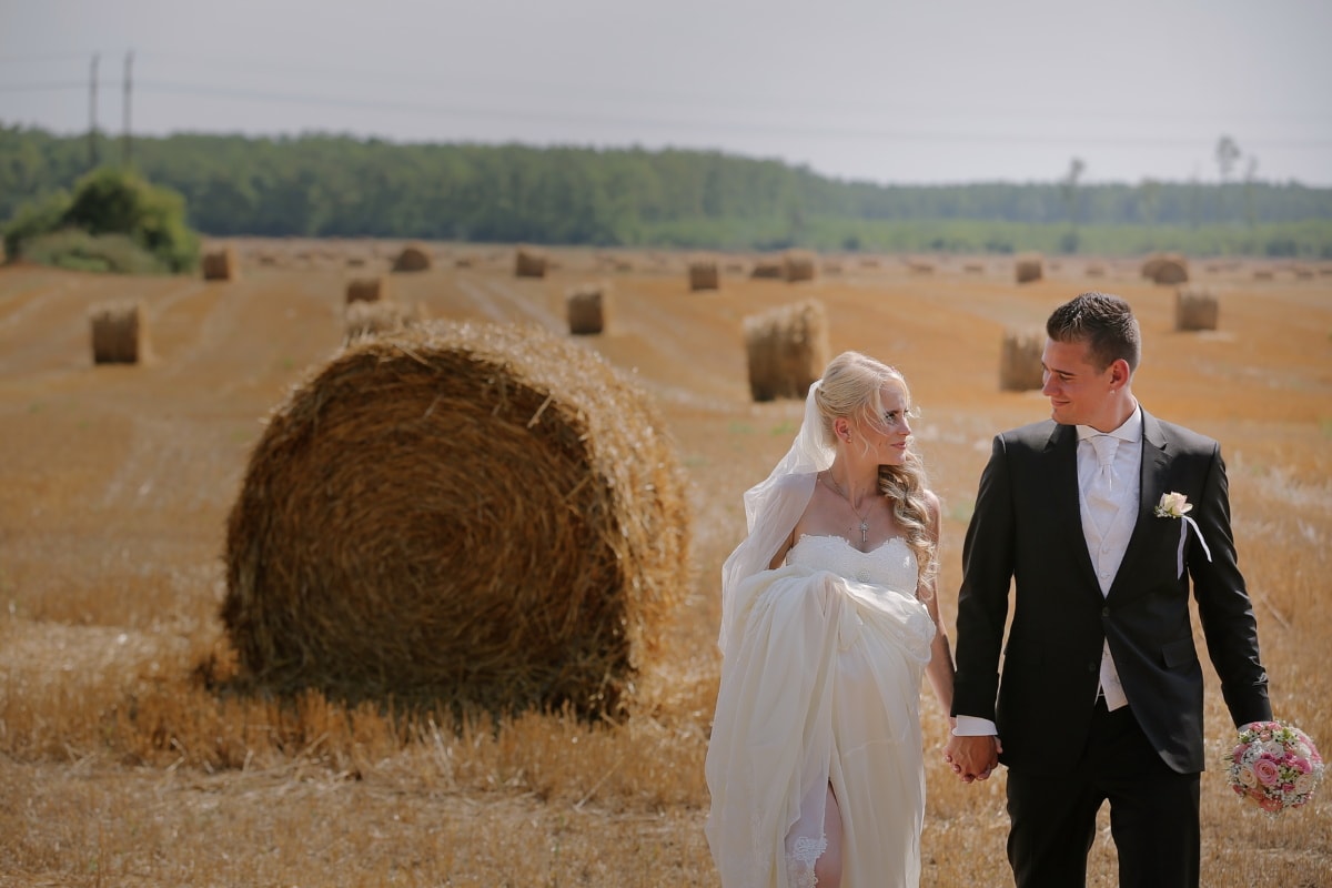 professionelle, Hochzeit, Fotografie, Heu-Feld, Sommer, Landwirtschaft, des ländlichen Raums, Harvest, Hay, Ballen