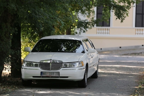 white limousine car, sedan, expensive, automobile, car, vehicle, speed, asphalt, pavement, street
