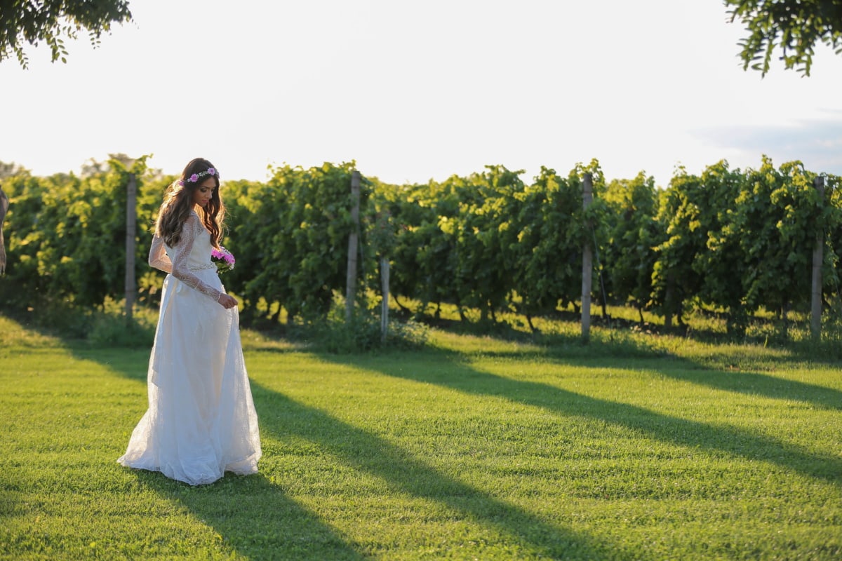 vineyard, wedding dress, wedding bouquet, bride, wedding, tree, grass, woman, girl, nature