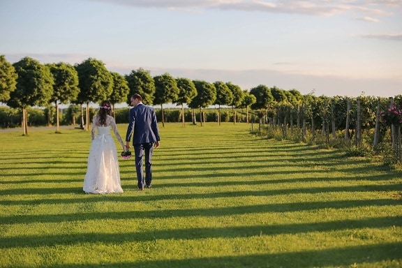 gentleman, lady, vineyard, field, wedding, girl, bride, grass, people, landscape