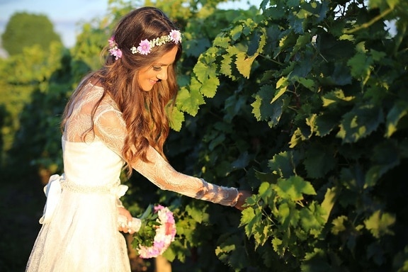 pretty girl, woman, vineyard, wedding bouquet, beautiful image, wedding dress, grape, person, portrait, tree