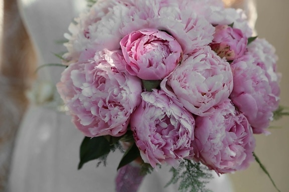 bruidsboeket, rozen, roze, pioen, trouwjurk, bloem, boeket, roze, steeg, bruiloft
