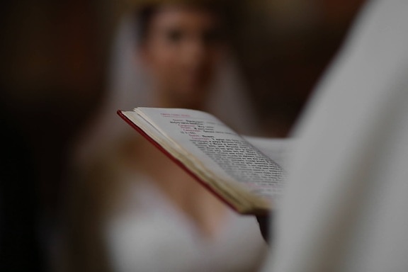 Pap, könyv, esküvő, Biblia, menyasszony, kéz, blur, foltos, keresztény, kereszténység