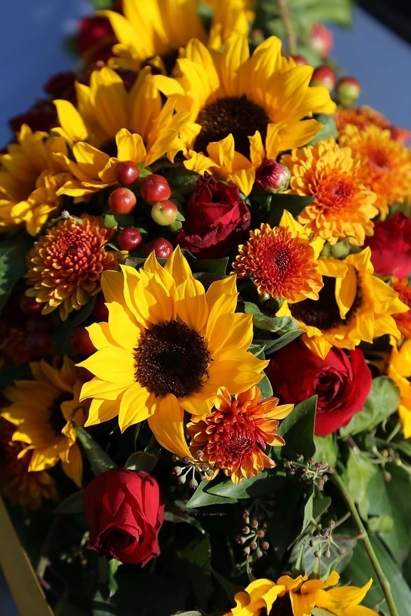 sunflower, bouquet, arrangement, flower, leaf, bright, garden, blooming, season, outdoors