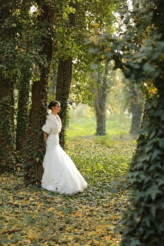 la mariée, forêt, charme, élégance, robe de mariée, robe, couple, engagement, amour, mariage