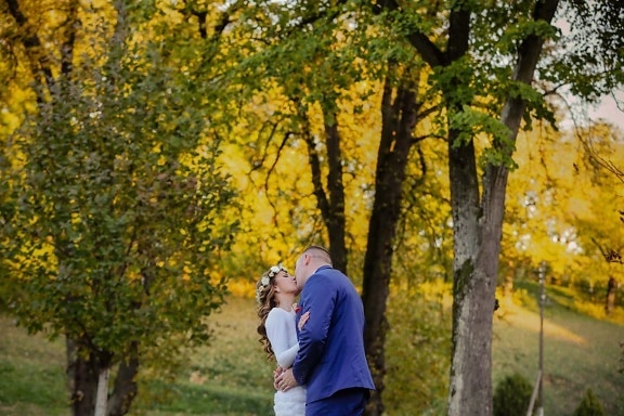 bride, groom, kiss, countryside, outdoors, poplar, forest, autumn, leaf, yellow