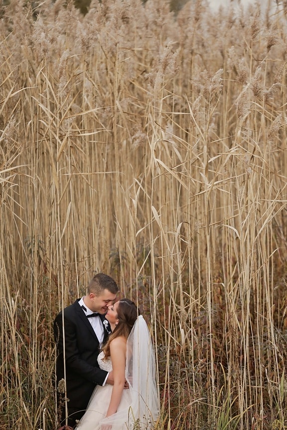 wedding, photography, bride, groom, wilderness, summer season, nature, field, straw, rural