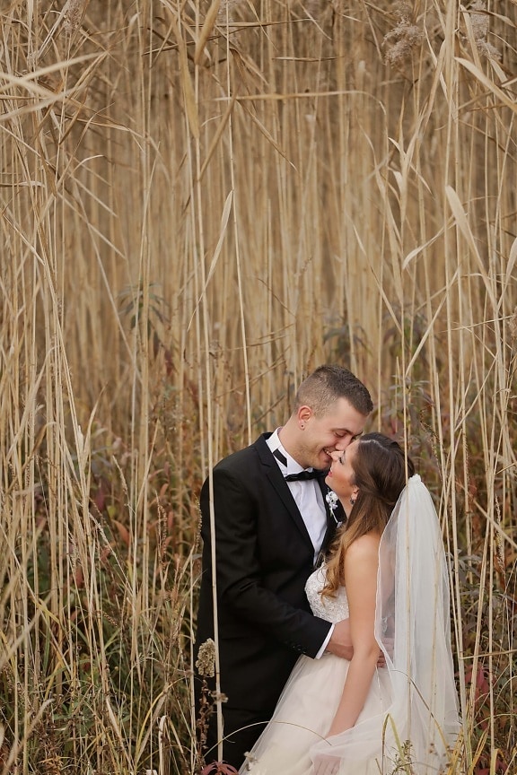 profesyonel, Düğün, Fotoğraf, sarılma, takım elbise, öpücük, düğün elbisesi, papyon, aşk, doğa