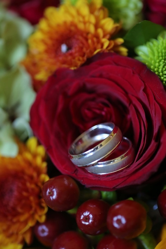 platinum, wedding ring, macro, bouquet, flower, rose, love, nature, romance, flora