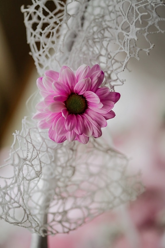 Rosato, fiore, fatto a mano, da vicino, decorazione, bella, fiori, bouquet, matrimonio, petalo