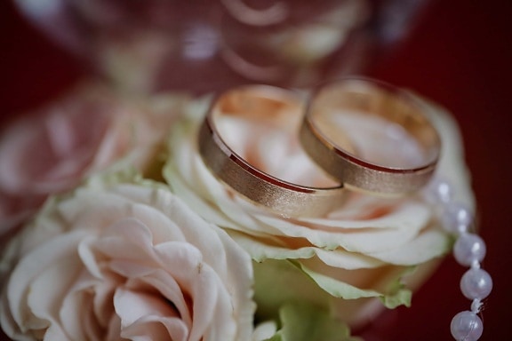 roses, wedding ring, gold, golden glow, shining, close-up, macro, romance, bride, marriage
