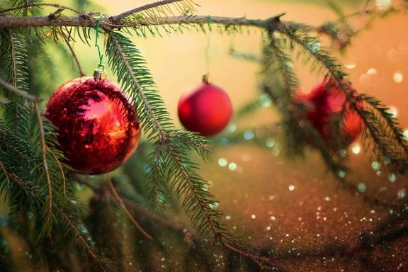 christmas tree, decorative, branches, ornament, round, holiday, decoration, season, tree, celebration