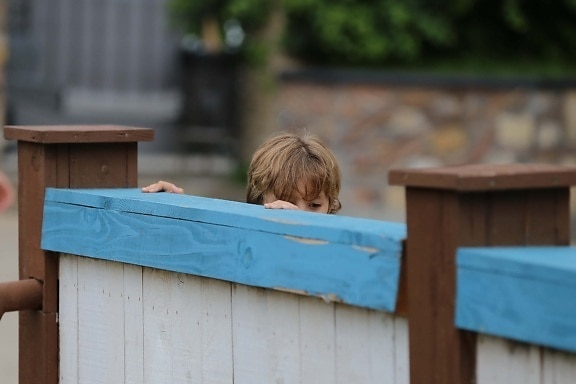 playing, child, hiding, boy, childhood, outdoors, wood, leisure, people, fence