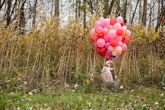 baby, balloon, toddler, wicker basket, adorable, young, shrub, grass, tree, summer