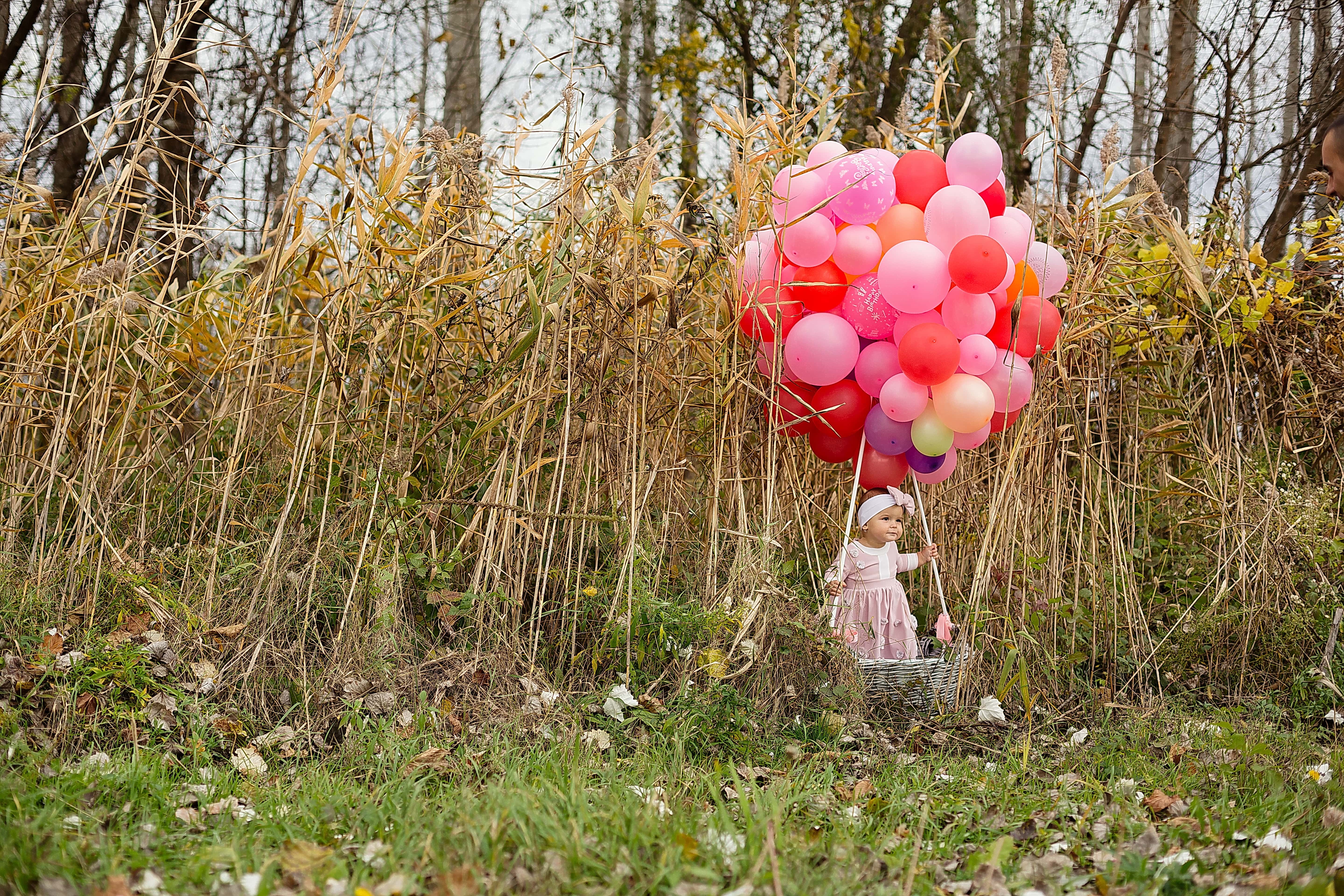 Free picture: baby, balloon, toddler, wicker basket, adorable, young ...
