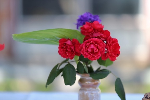 váza, okvětní lístek, růže, květiny, květ, dekorace, růže, kytice, růžová, romantika