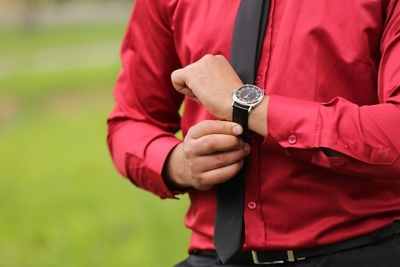 rouge, homme d'affaire, soie, chemise, élégance, montre à bracelet, attacher, noir, personne, homme