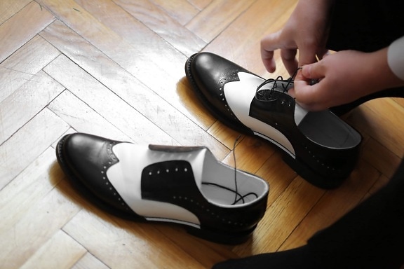 shoes, black and white, shoelace, foot, footwear, shoe, leather, pair, fashion, indoors