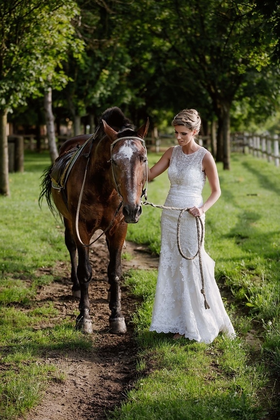 menyasszony, csinos lány, lovak, esküvői ruha, mén, állat, tanya, vidéken, ló, farm