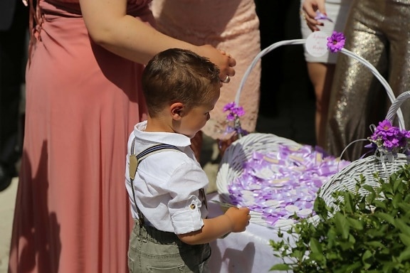 young, boy, child, people, wedding, flower, family, fashion, ceremony, portrait