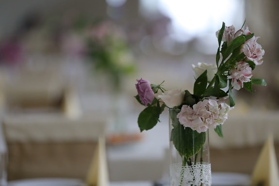 vas, bunga putih, bunga, karangan bunga, bunga, kabur, daun, elegan, di luar rumah, naik