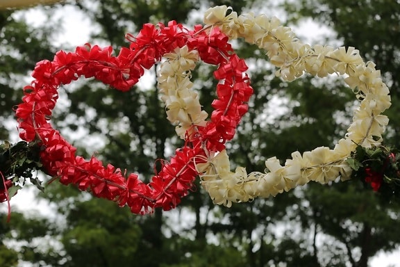 decoración, Blanco, rojo, corazones, planta, amor, hoja, romance, Jardín, color