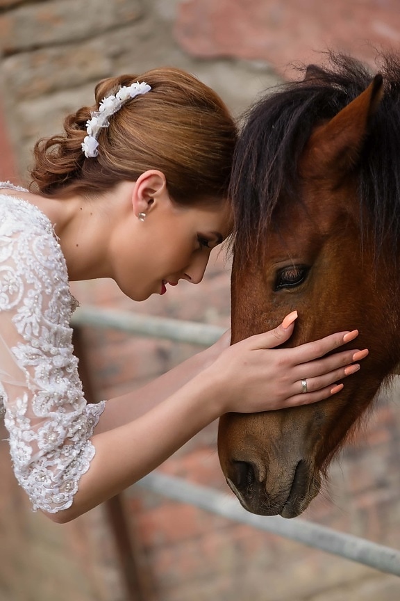 hezké děvče, hlava, kůň, domácí zvíře, zvíře, Žena, děvče, portrét, láska, svatba