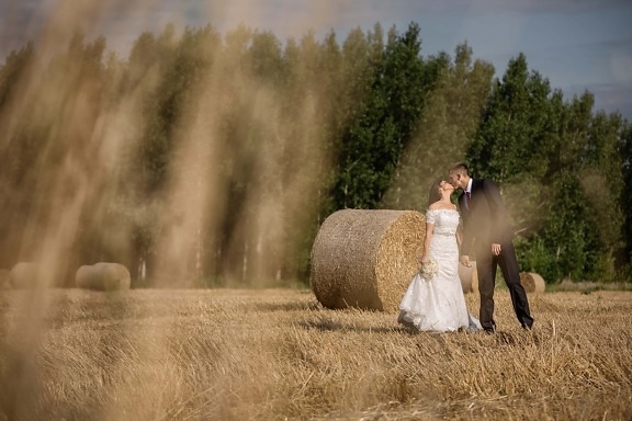 hay field, haystack, bride, groom, kiss, wedding, wedding dress, hay, agriculture, straw