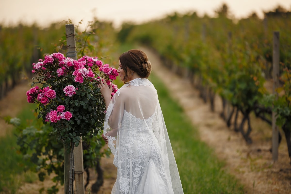 bruden, roser, vingård, duft, ægteskab, kjole, gift, bryllup, buket, blomster