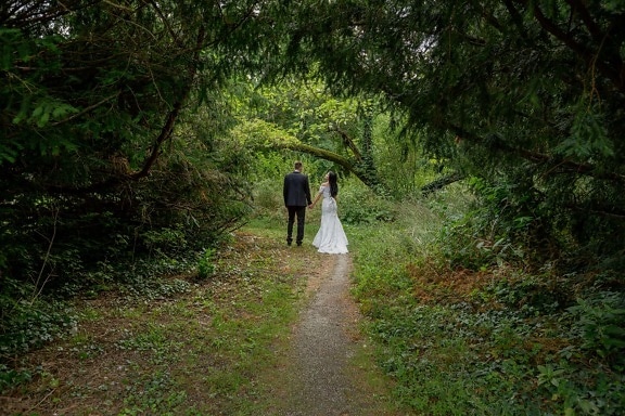 forest trail, bride, groom, tree, girl, wood, forest, people, landscape, trail