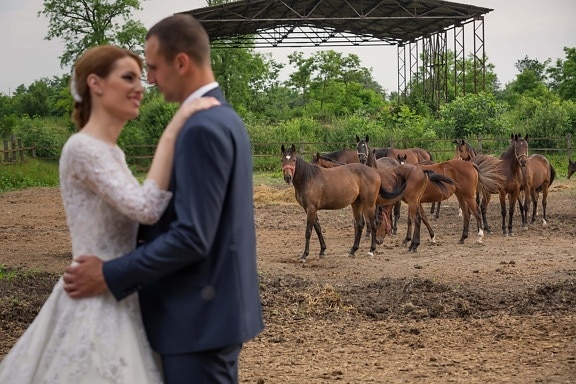 馬, 牧場, 農地, 花婿, 牧歌的です, 花嫁, キス, 抱擁, ロマンチックです, 馬