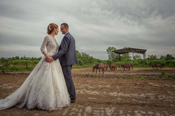 rancho, noivo, pecuária, cavalos, terras agrícolas, noiva, casal, amor, casado, menina