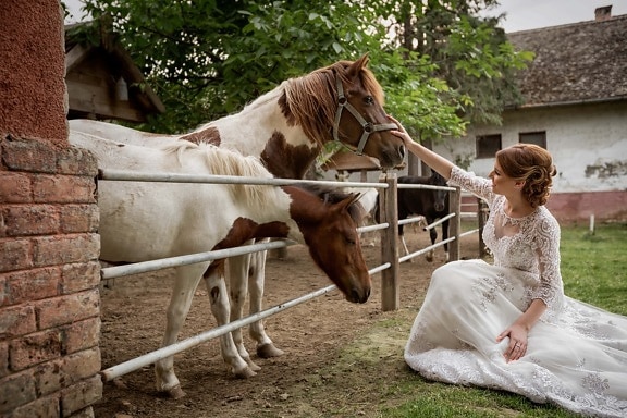 nevěsta, svatební místo, ranč, svatební šaty, cowgirl, farma, koně, kůň, lidé, Žena