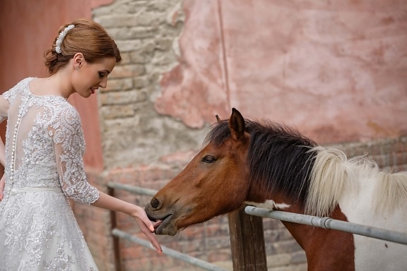 kôň, ranč, žena krotící kone, stodola, svadobné šaty, žena, zviera, ľudia, portrét, milý
