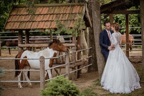 невеста, крестьянин, деревня, жених, Свадьба, животноводство, фотография, животные, лошади, люди