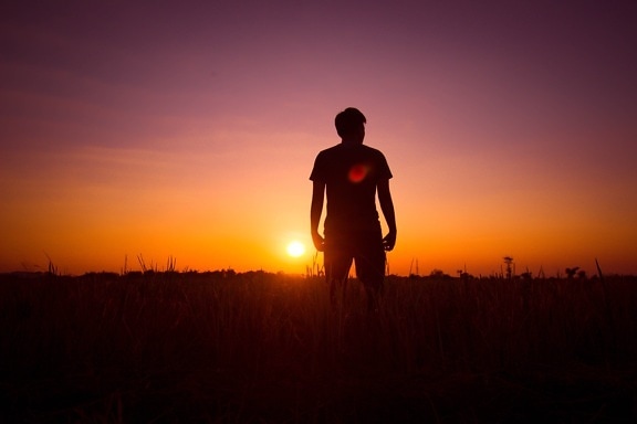 silhouette, sunset, man, standing, backlight, sun, dawn, athlete, runner, evening