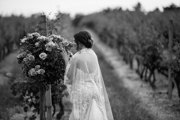bruid, nostalgie, wijngaard, wijnoogst, landbouw, bruidegom, jurk, zwart-wit, bruiloft, liefde
