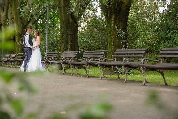 bench, bride, walk, groom, romantic, garden, seat, furniture, park, wedding