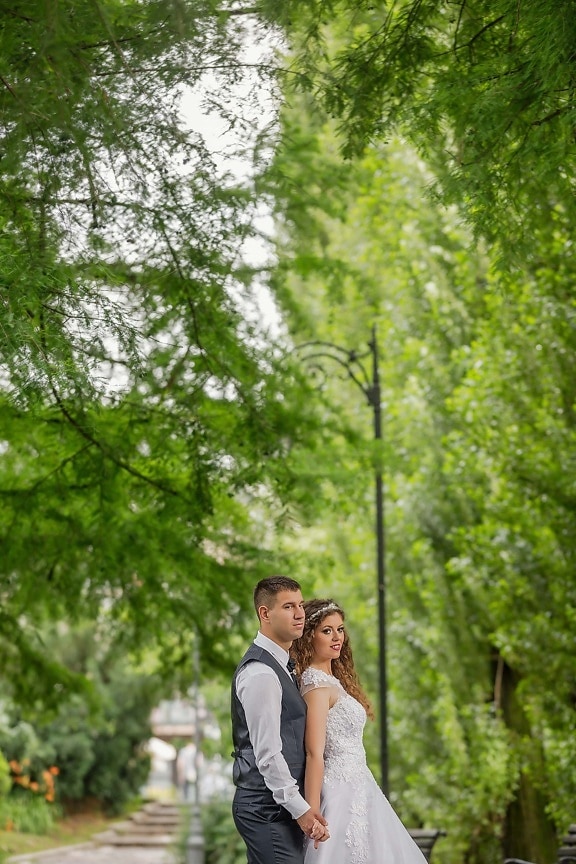 just married, embrace, love, husband, wife, trees, branches, park, plant, forest, tree