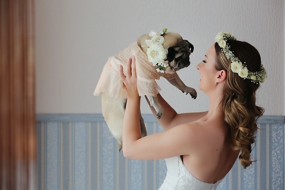 bride, holding, dog, costume, wedding dress, dress, wedding, woman, fashion, domestic