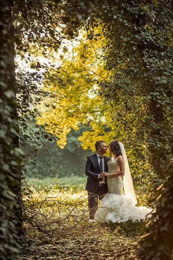 forest path, meeting, romantic, wilderness, just married, bride, groom, forest, wedding, park