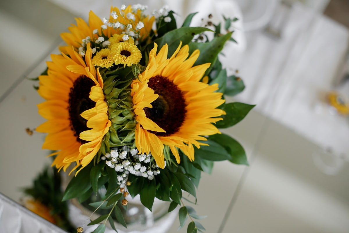 フリー写真画像 ひまわり 間近 花瓶 花 装飾 配置 工場 花束 黄色 葉