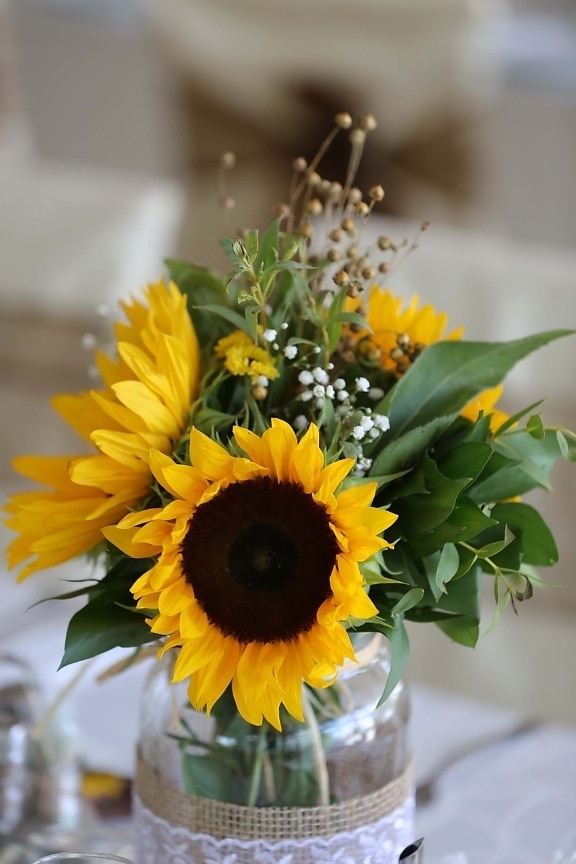 Sonnenblume, Vase, Dekoration, Glas, schöne Blumen, handgefertigte, gelb, Blatt, Still-Leben, verwischen