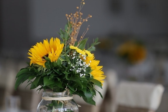 solsikke, krukke, buket, dekoration, helt tæt, blomst, blad, vase, stadig liv, kronblade
